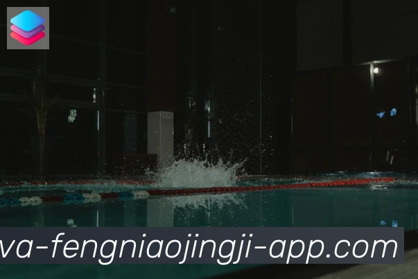 蜂鸟竞技全站App